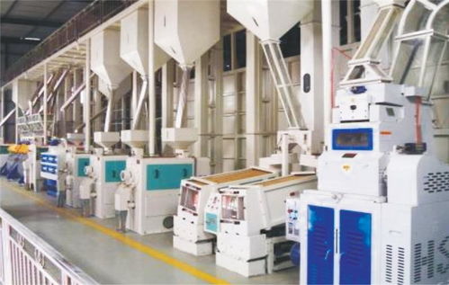 河南双狮粮油机械公司 大米深加工设备批发 海南大米深加工设备