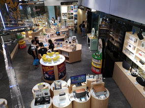 【河南省平顶山市卡努比早教陪护机器人体验店小蛋机器人多少钱?】- 